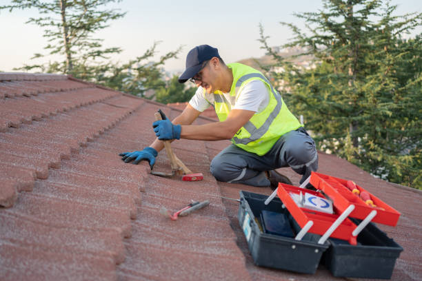Best Gutter Installation and Roofing  in Susan Moore, AL